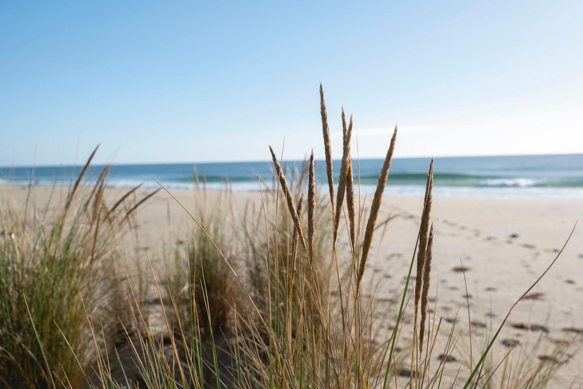Blue Seas Holiday Villas Scamander Exteriör bild
